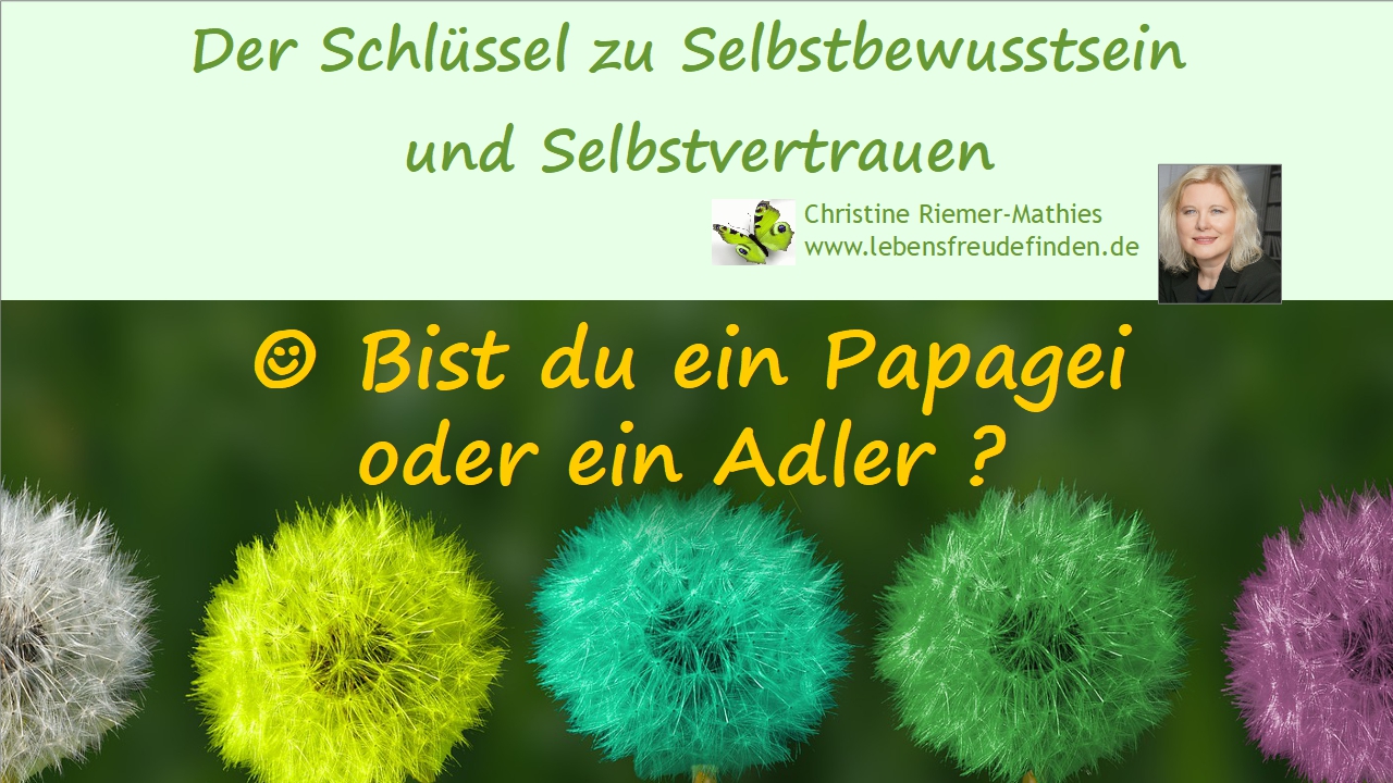 Bist du ein Papagei oder ein Adler - Video - Christine Riemer-Mathies